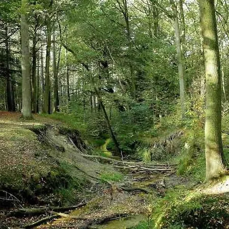 Chalet Bos “meibloempje” Lanaken