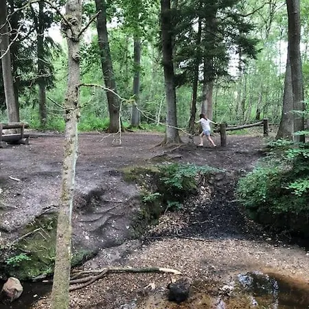 Bos “meibloempje” *