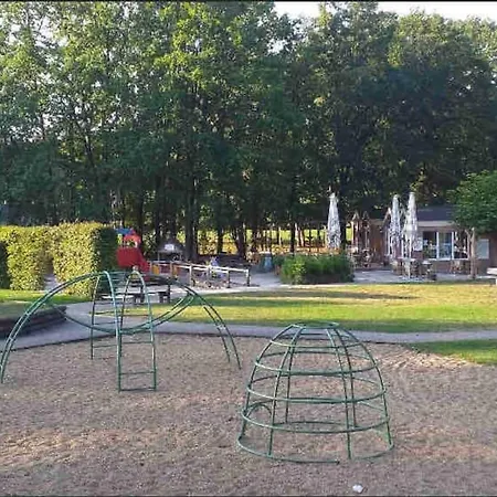 Bos “meibloempje” * Lanaken